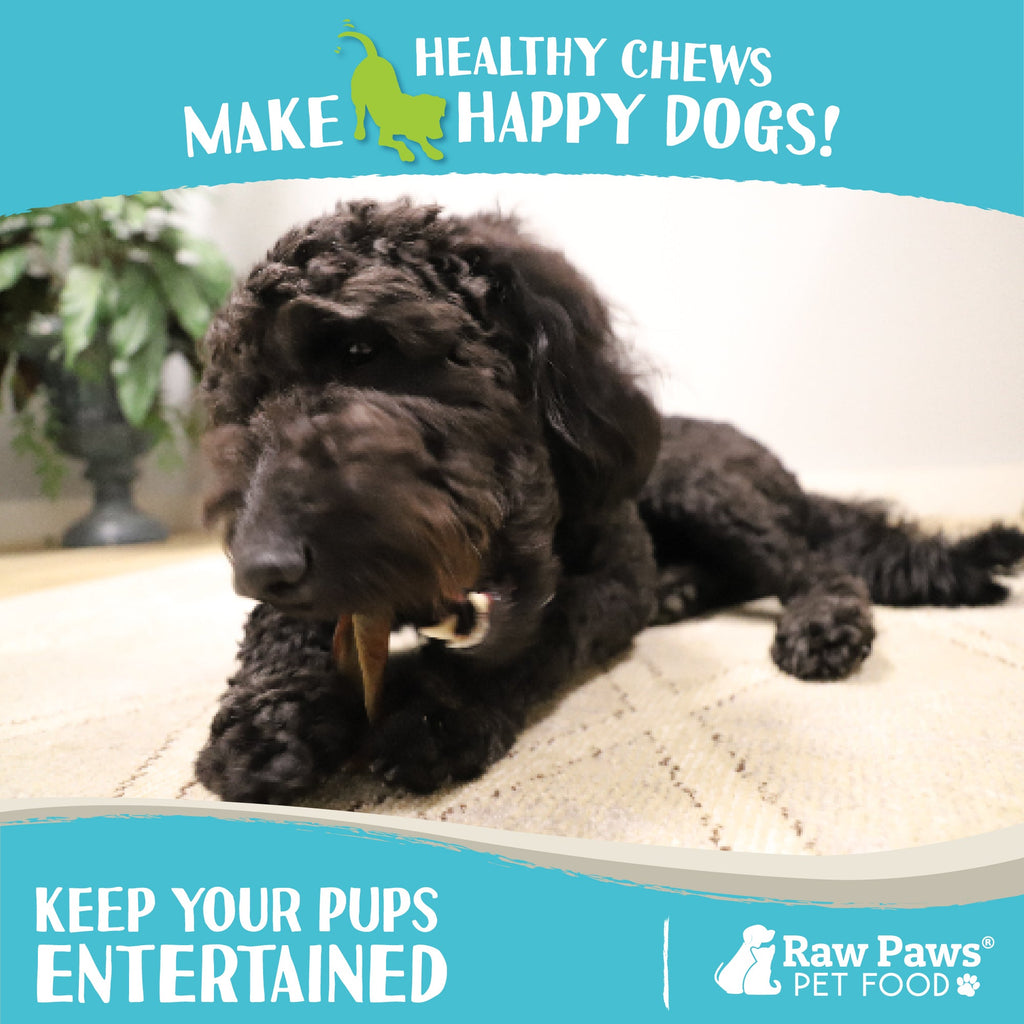 Camel Skin Dog Chews product image 5