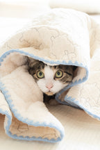 Pet Blanket product image 1
