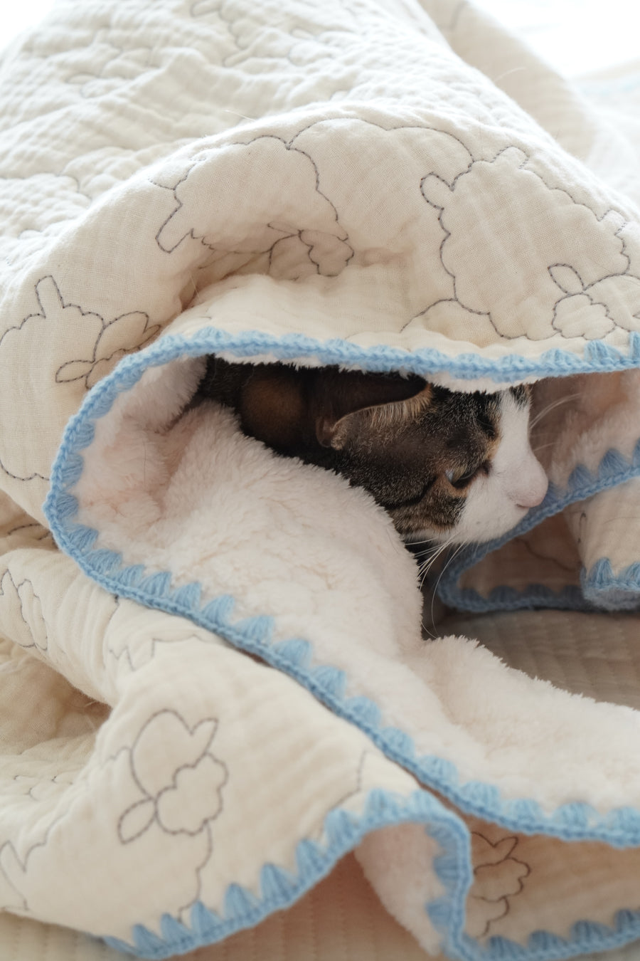 Pet Blanket product image 3