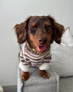 Dog Sweatshirt product image 2