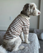 Dog Sweatshirt product image 4