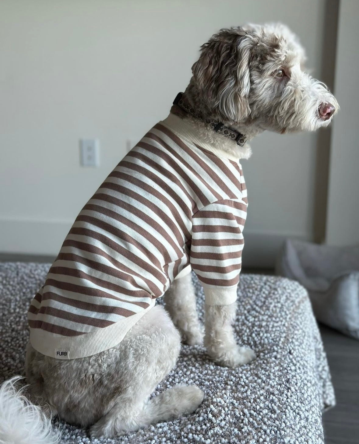 Dog Sweatshirt product image 4
