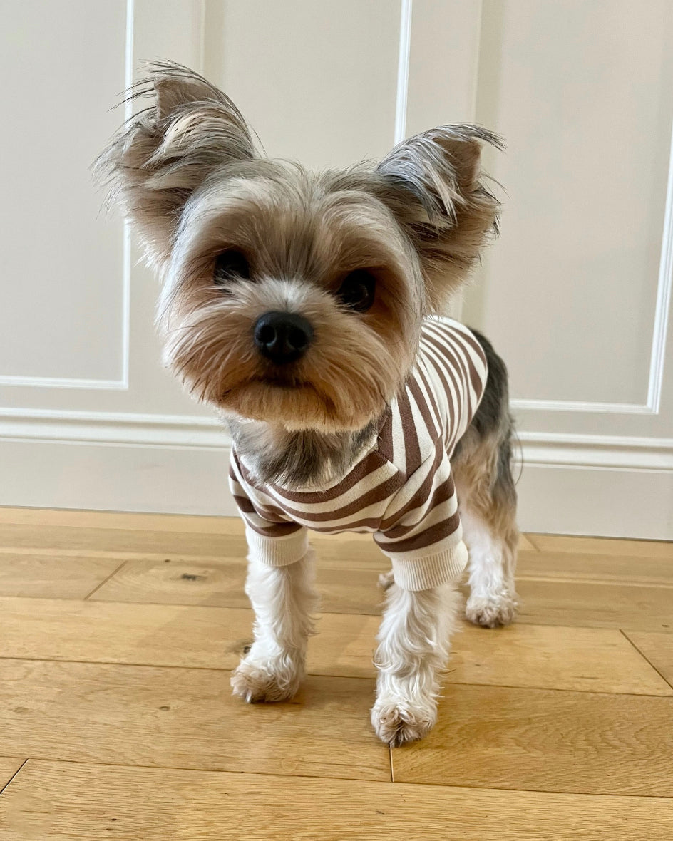 Dog Sweatshirt product image 8