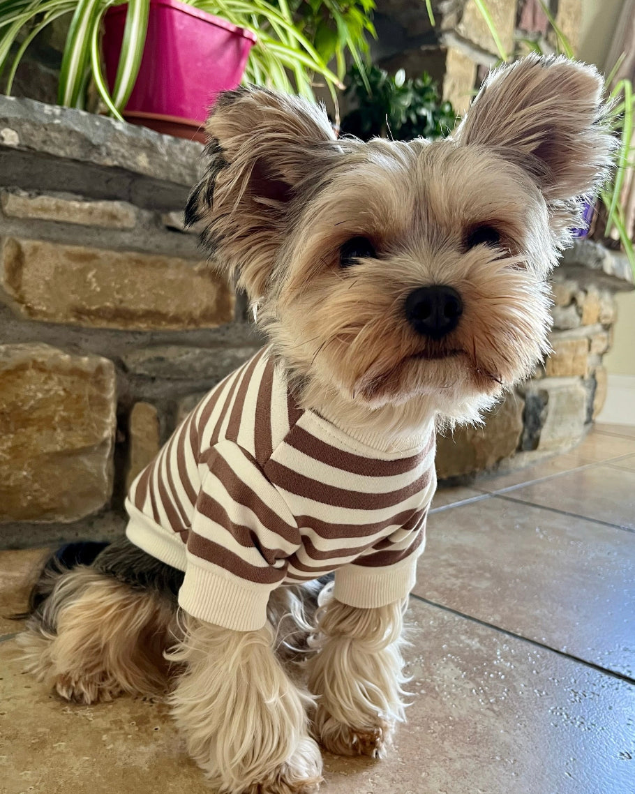 Dog Sweatshirt product image 9