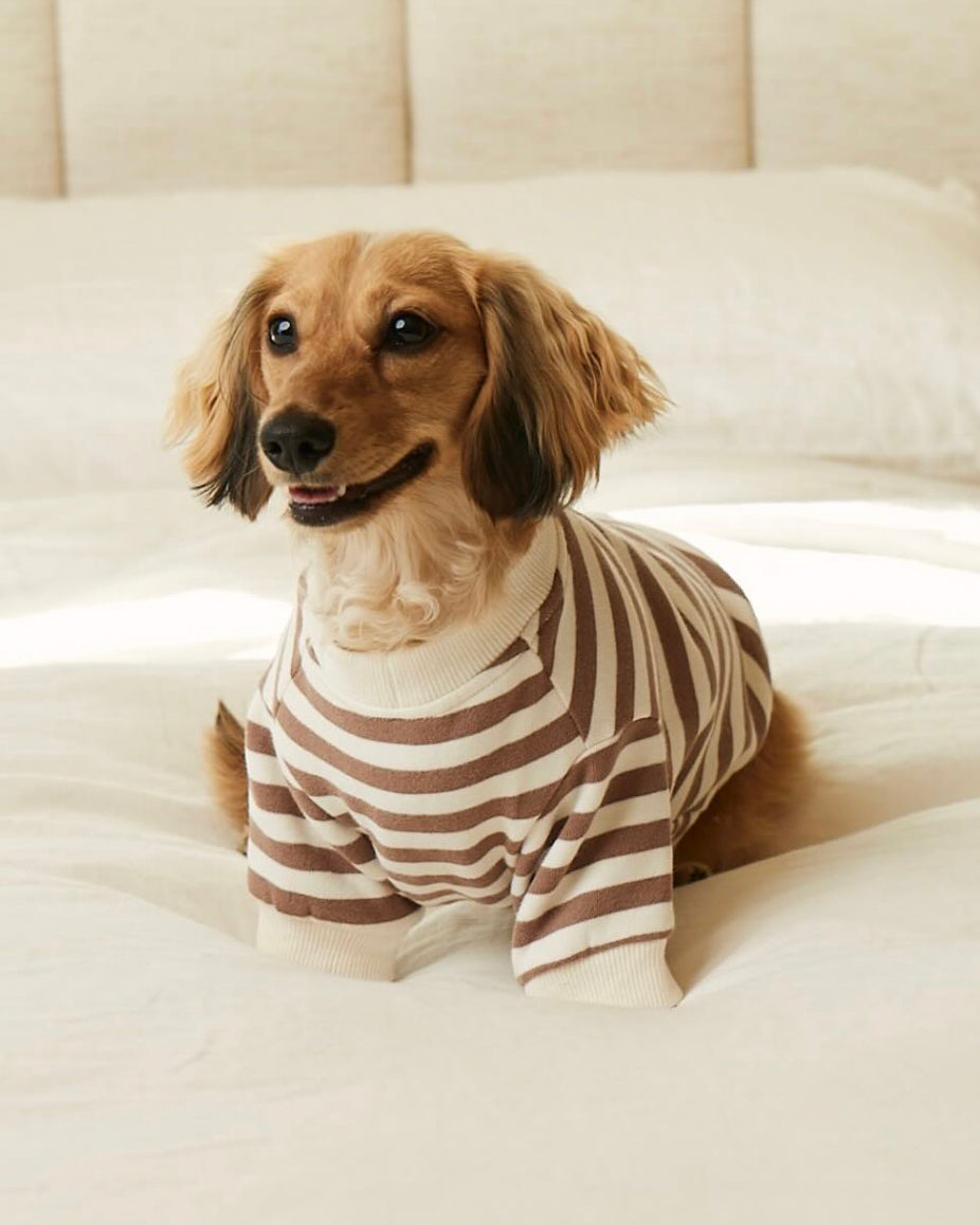 Dog Sweatshirt product image 10