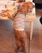 Dog Sweatshirt product image 11