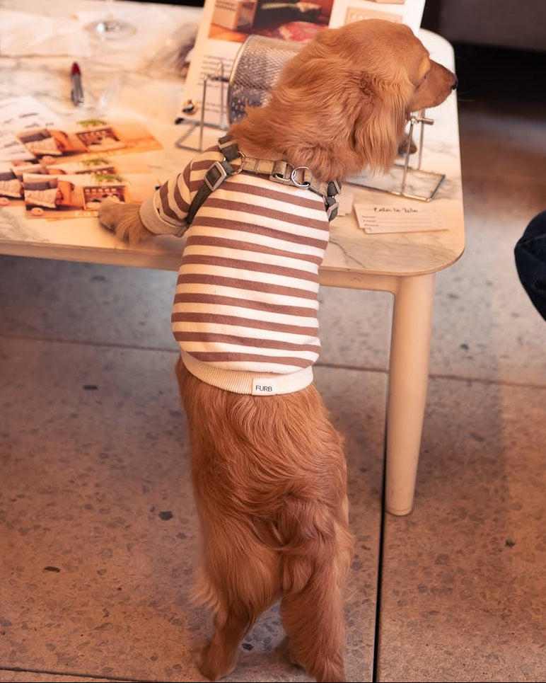 Dog Sweatshirt product image 11