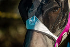 Horse Fly Mask product image 2
