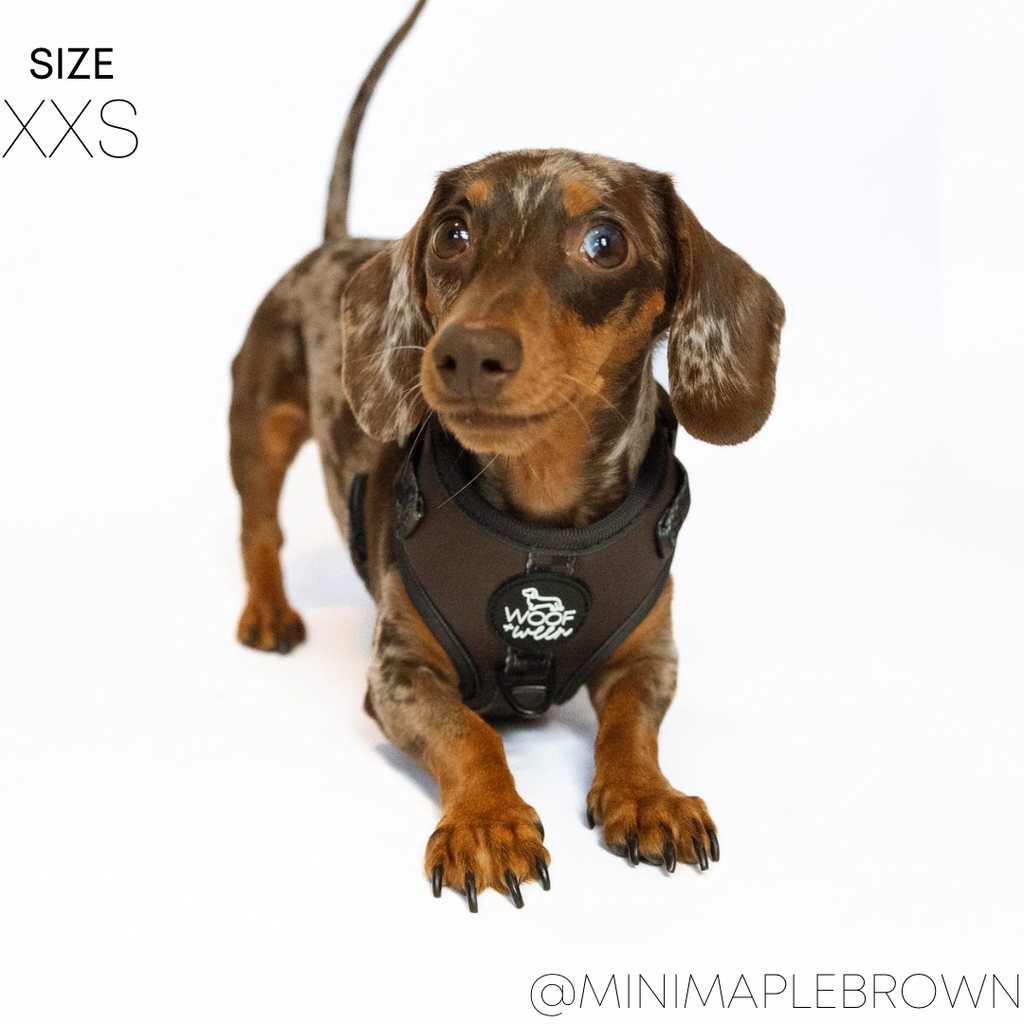 Dog Harness product image 5