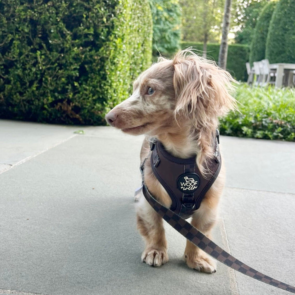 Dog Harness product image 6
