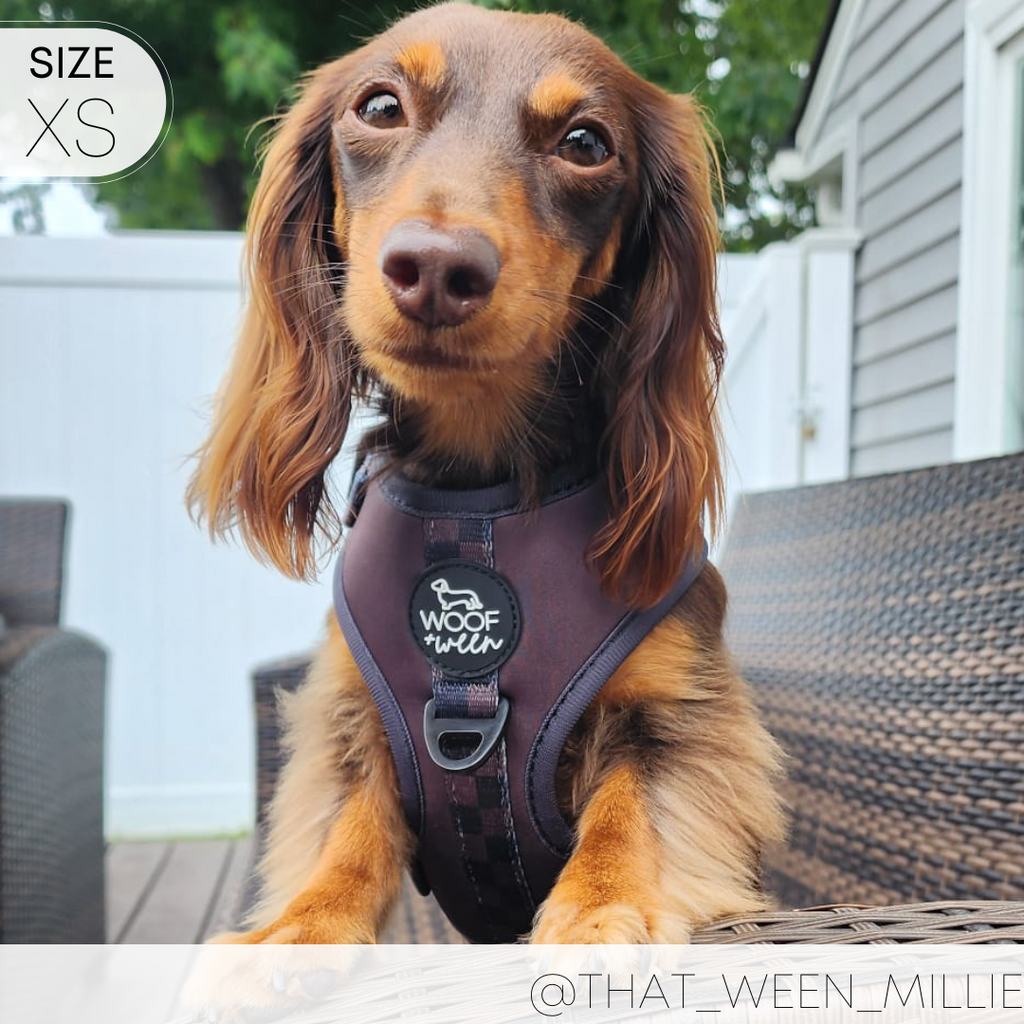 Dog Harness product image 7
