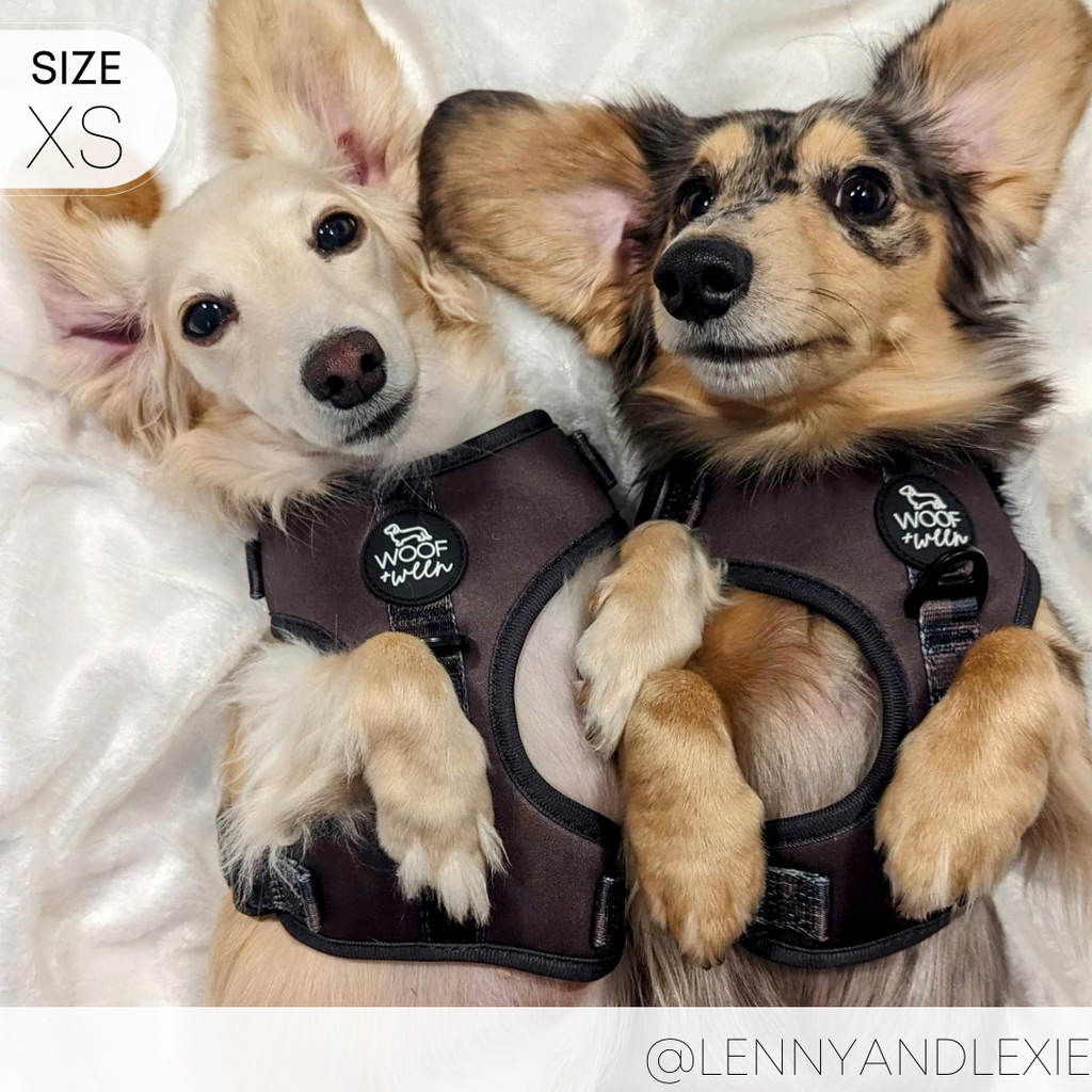 Dog Harness product image 8