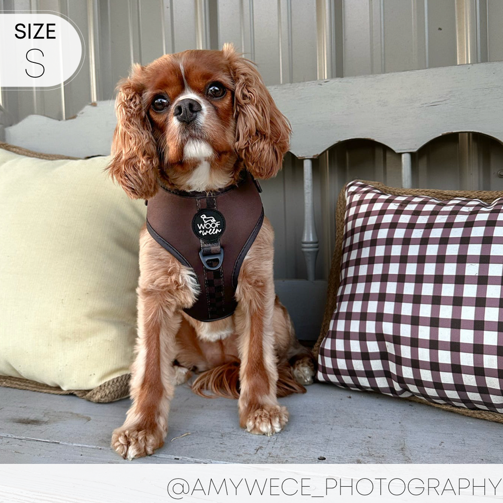 Dog Harness product image 10