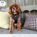 Dog Harness product image 10