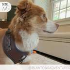 Dog Harness product image 12