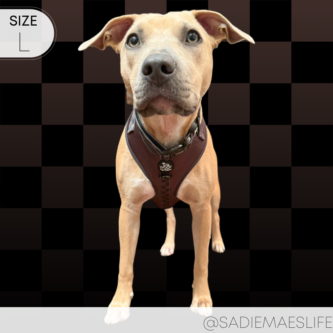 Dog Harness product image 13