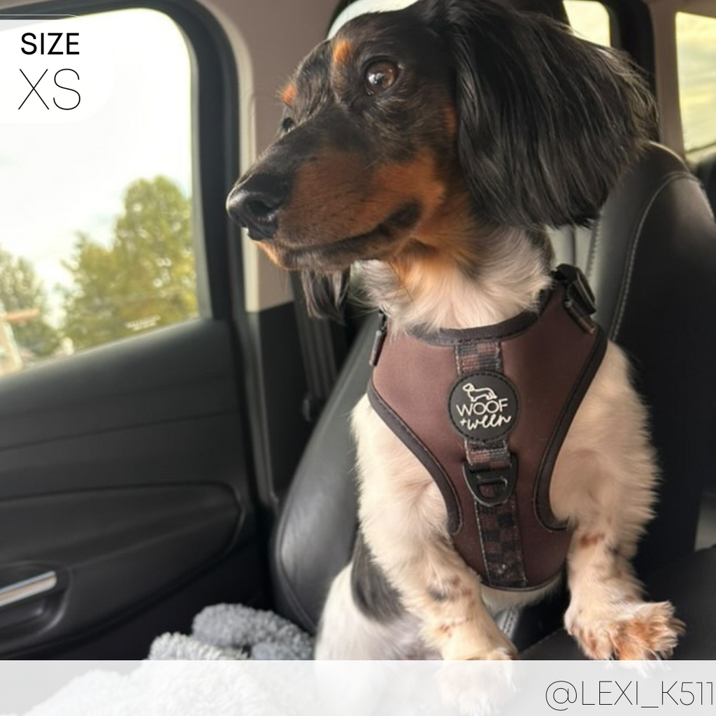 Dog Harness product image 14