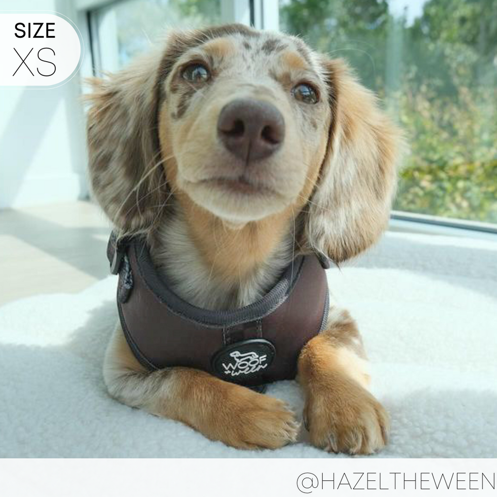 Dog Harness product image 15