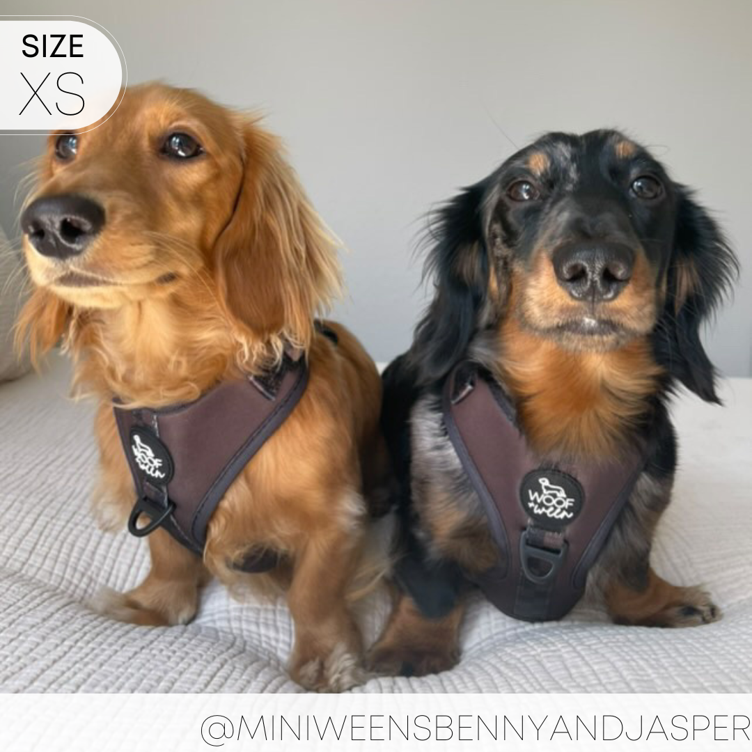 Dog Harness product image 16