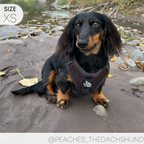 Dog Harness product image 17
