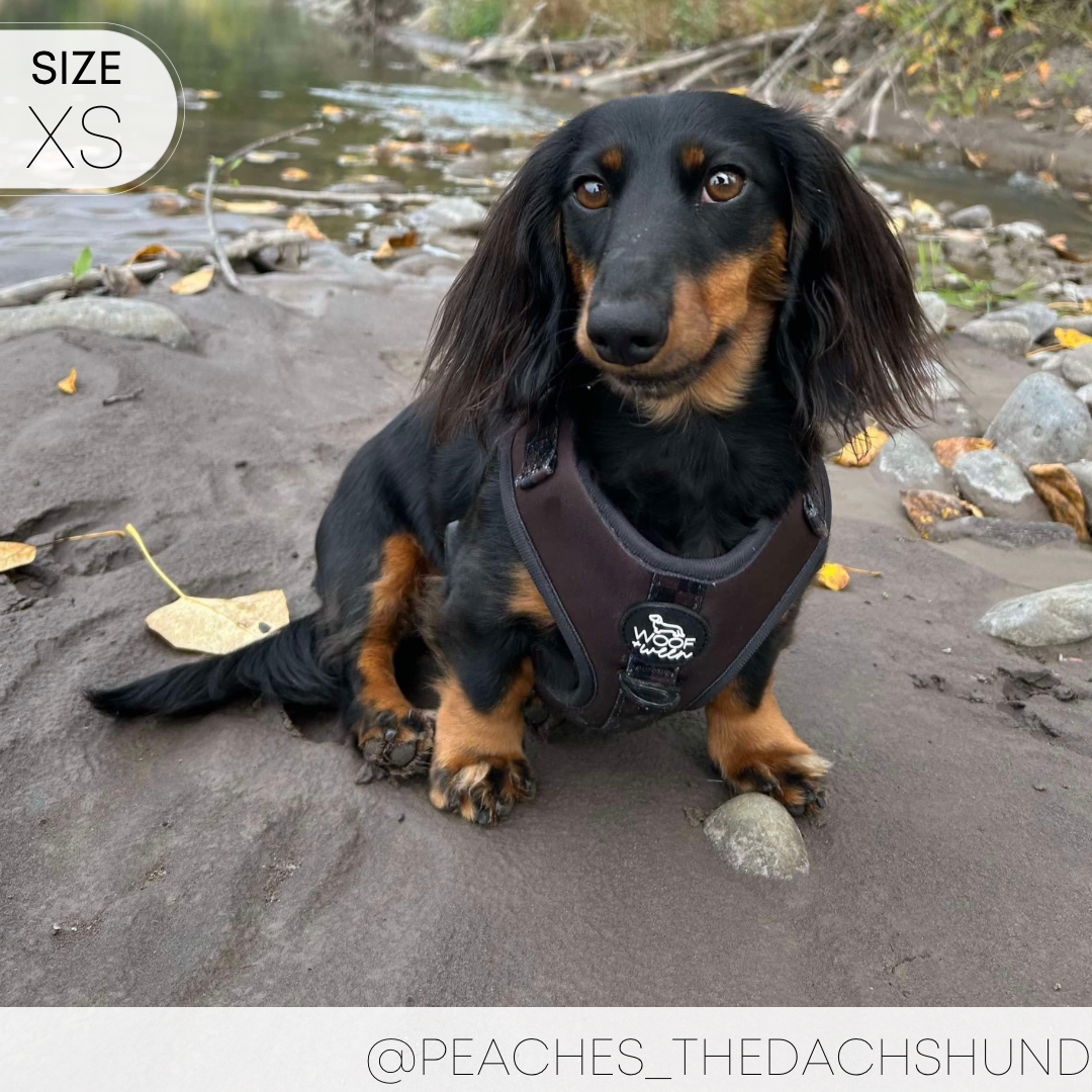Dog Harness product image 17