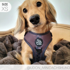 Dog Harness product image 18