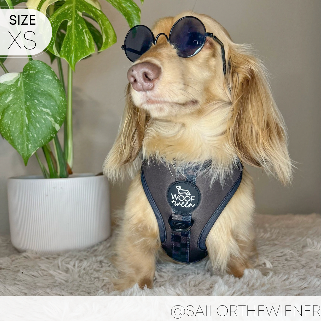 Dog Harness product image 19
