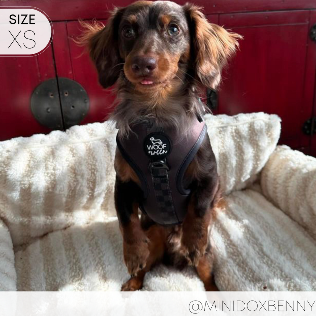 Dog Harness product image 20