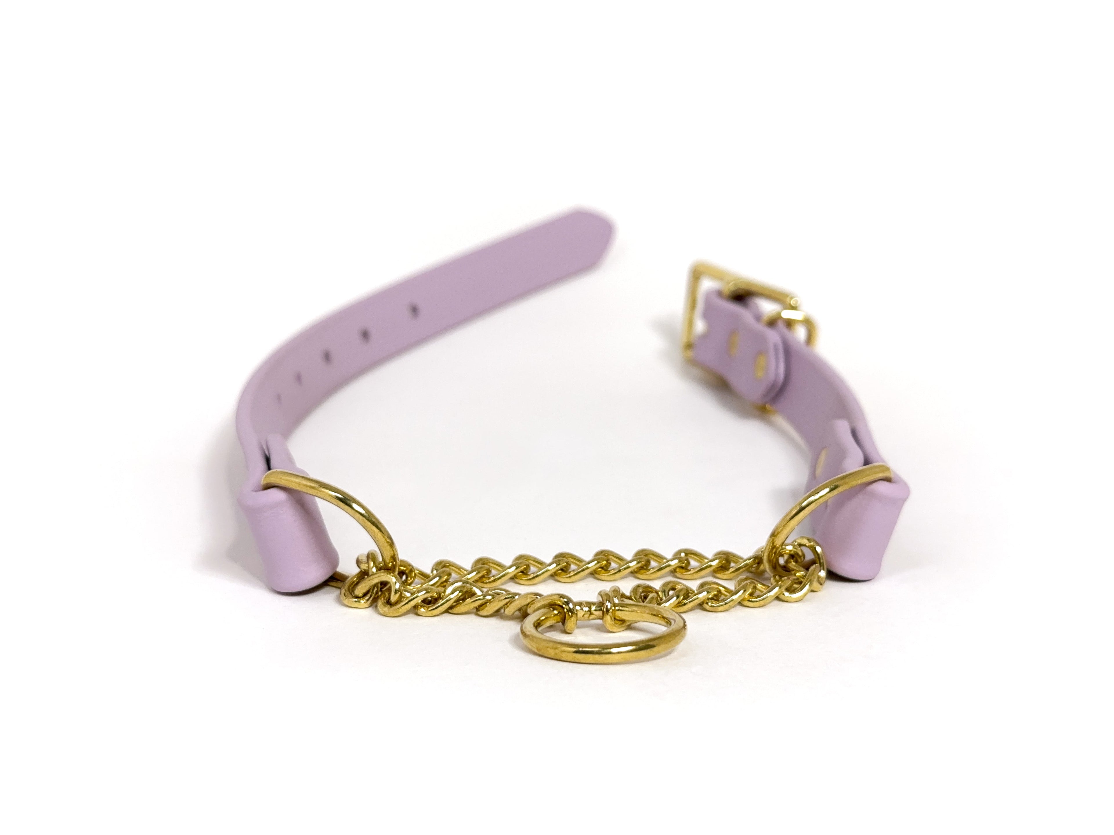 Biothane Martingale Dog Collar product image 2