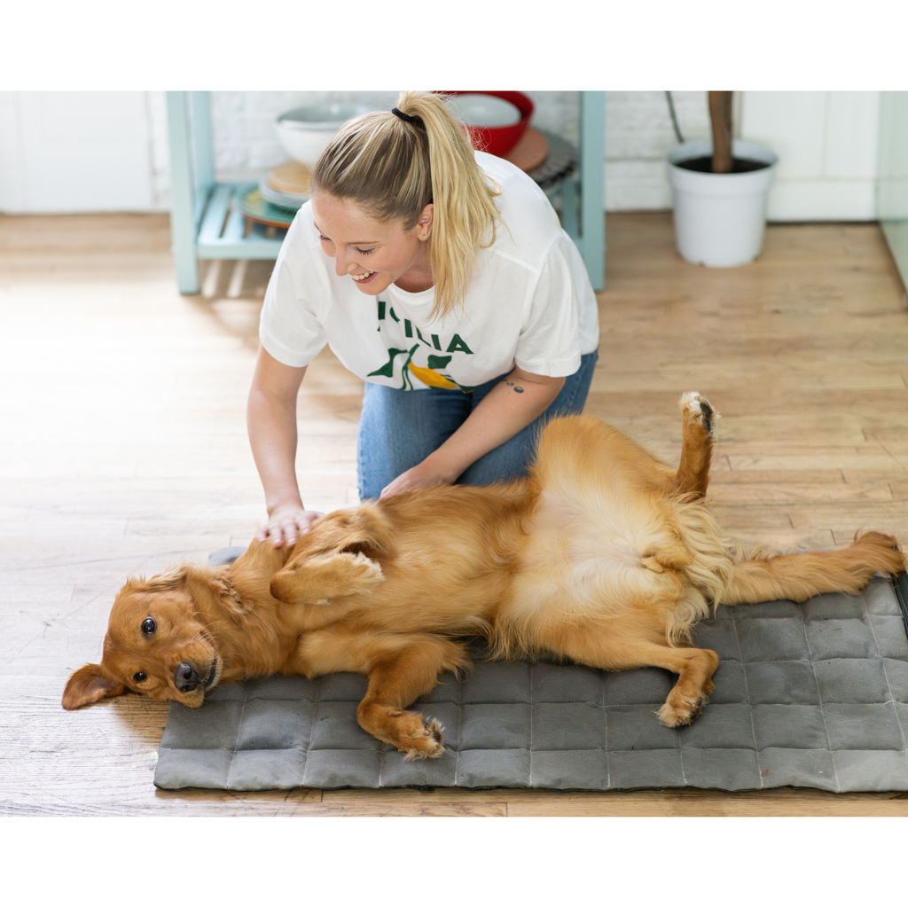 Cooling Dog Bed product image 2