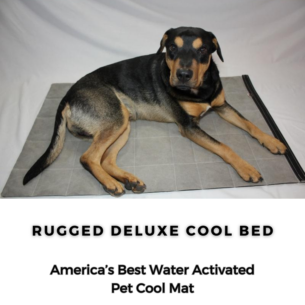 Cooling Dog Bed product image 3