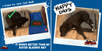 Cooling Dog Bed product image 6