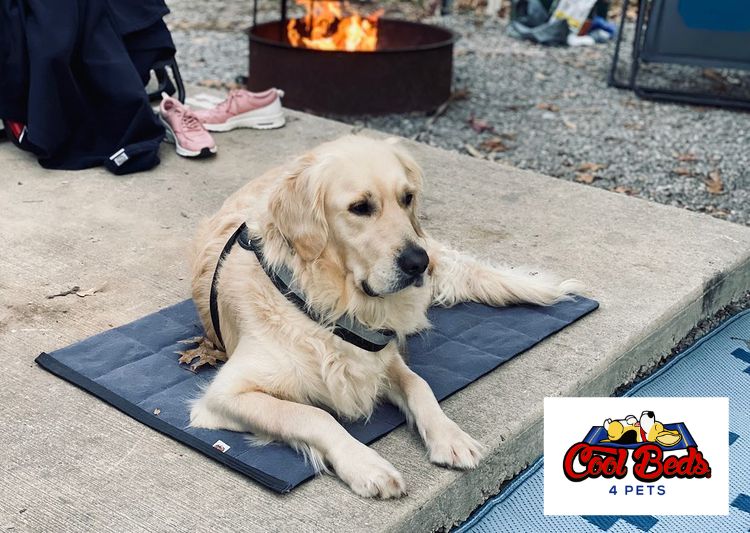 Cooling Dog Bed product image 10