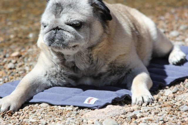 Cooling Dog Bed product image 11