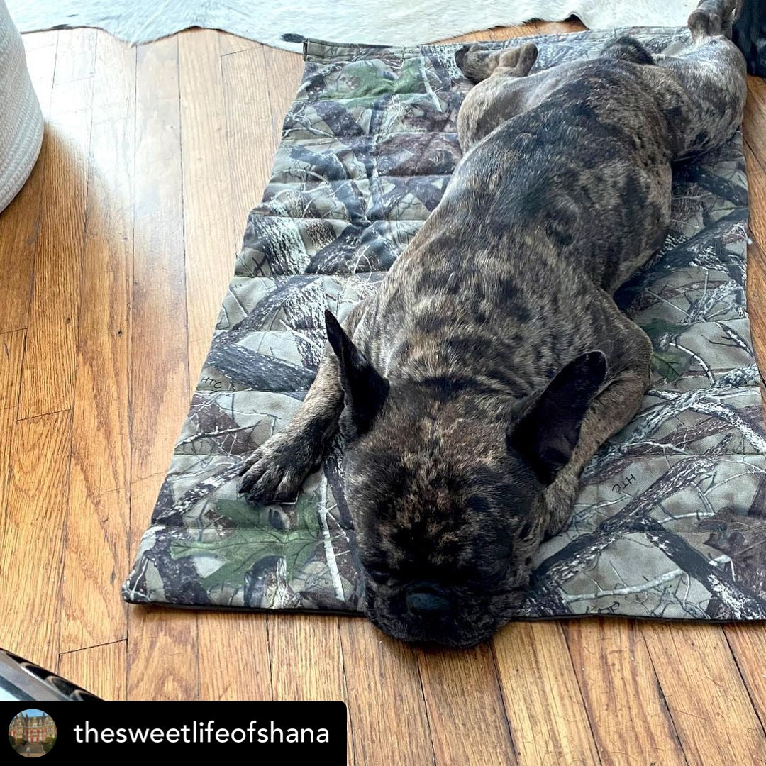 Cooling Dog Bed product image 12