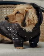 Dog Hoodie product image 1