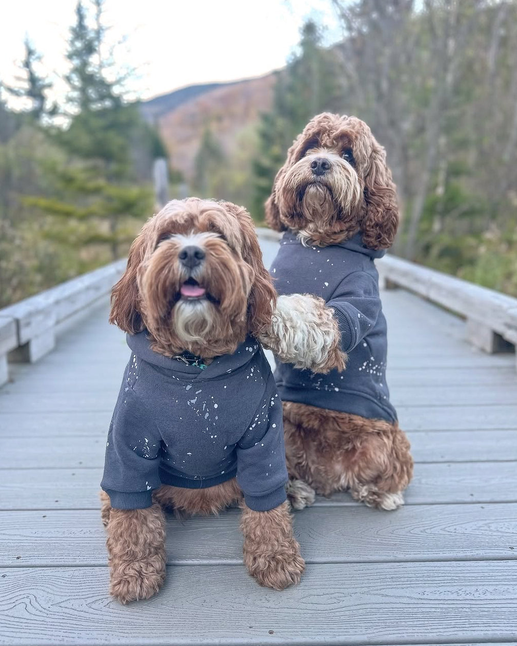 Dog Hoodie product image 7