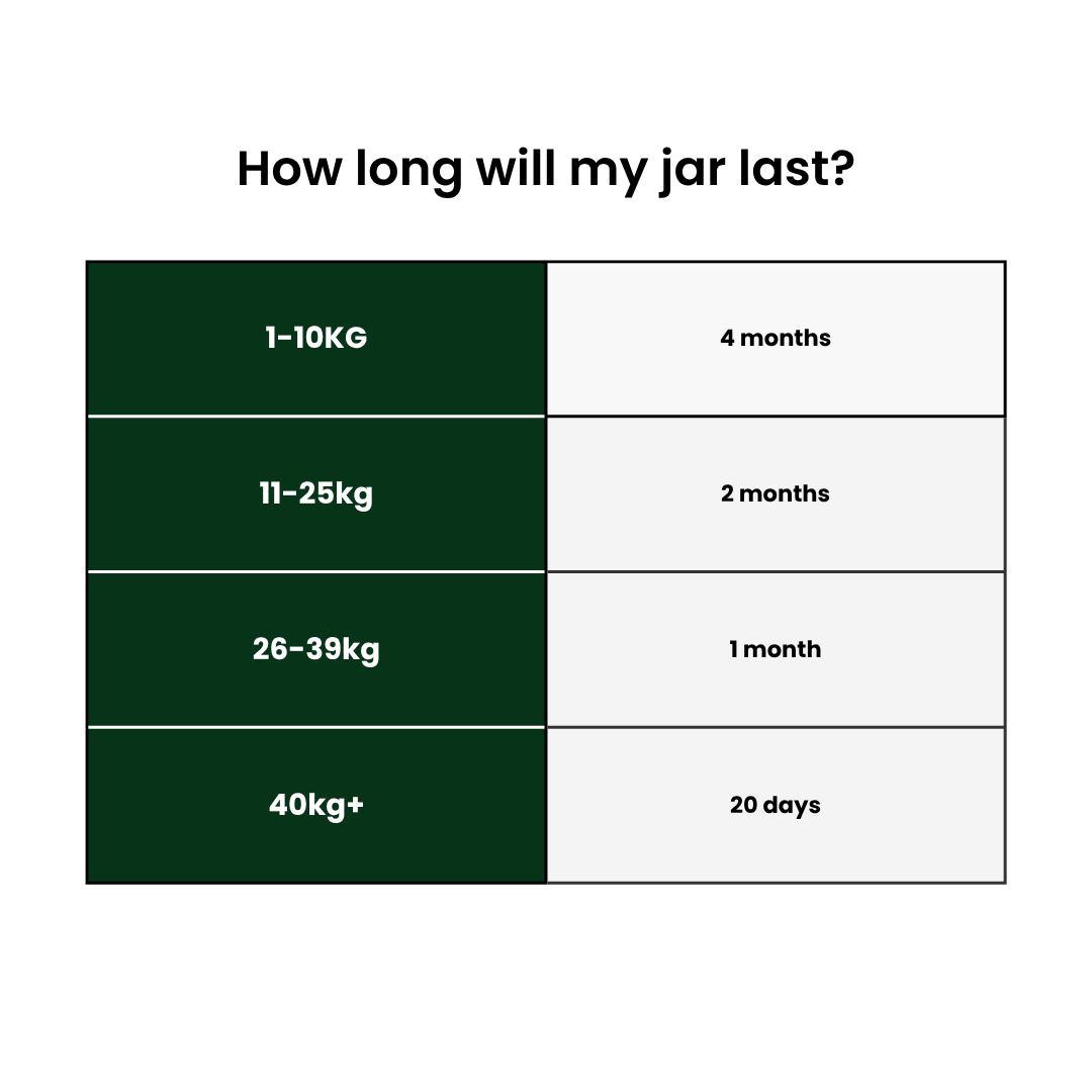 Pet Prebiotic and Probiotic Supplement product image 5
