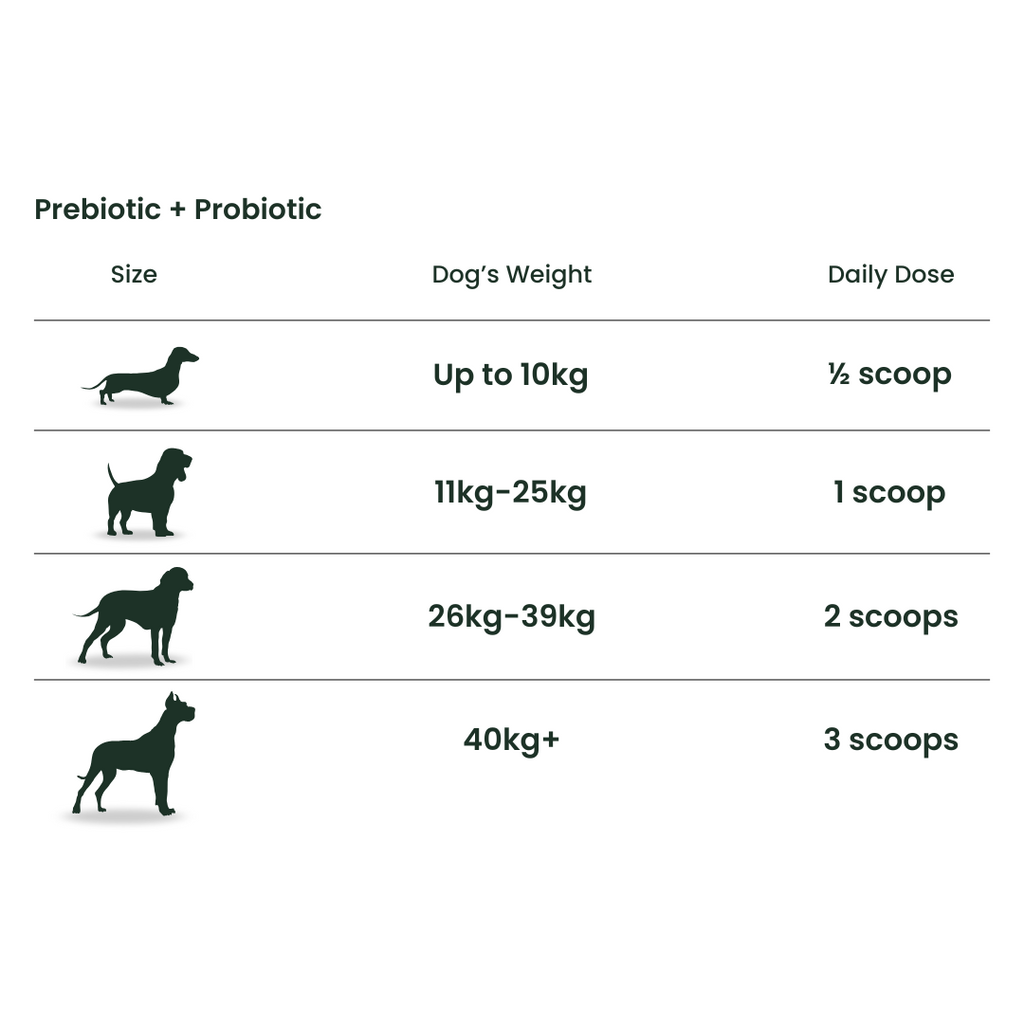 Pet Prebiotic and Probiotic Supplement product image 6