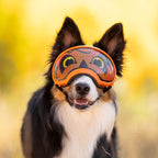Dog Goggles Lens Wraps product image 2