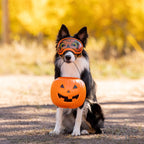 Dog Goggles Lens Wraps product image 4