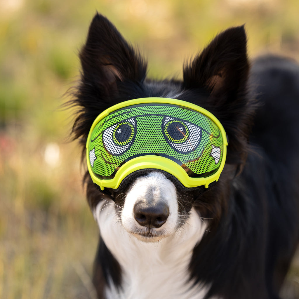 Dog Goggles Lens Wraps product image 6