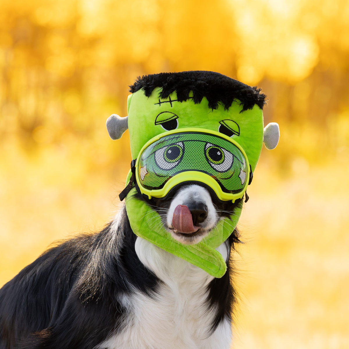 Dog Goggles Lens Wraps product image 7