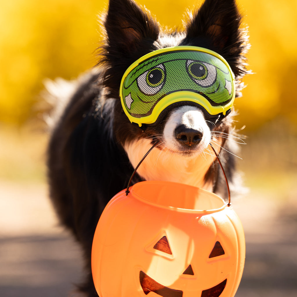 Dog Goggles Lens Wraps product image 8