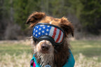 Dog Goggles Lens Wraps product image 10