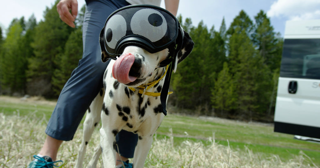 Dog Goggles Lens Wraps product image 12