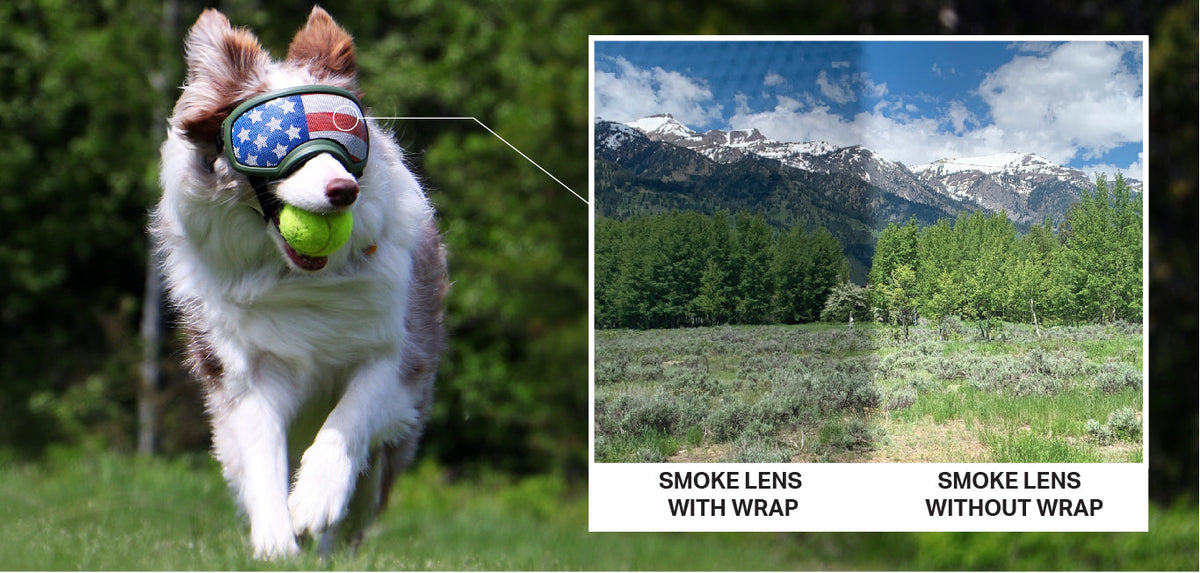 Dog Goggles Lens Wraps product image 13