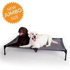 Raised Dog Cot product image 1