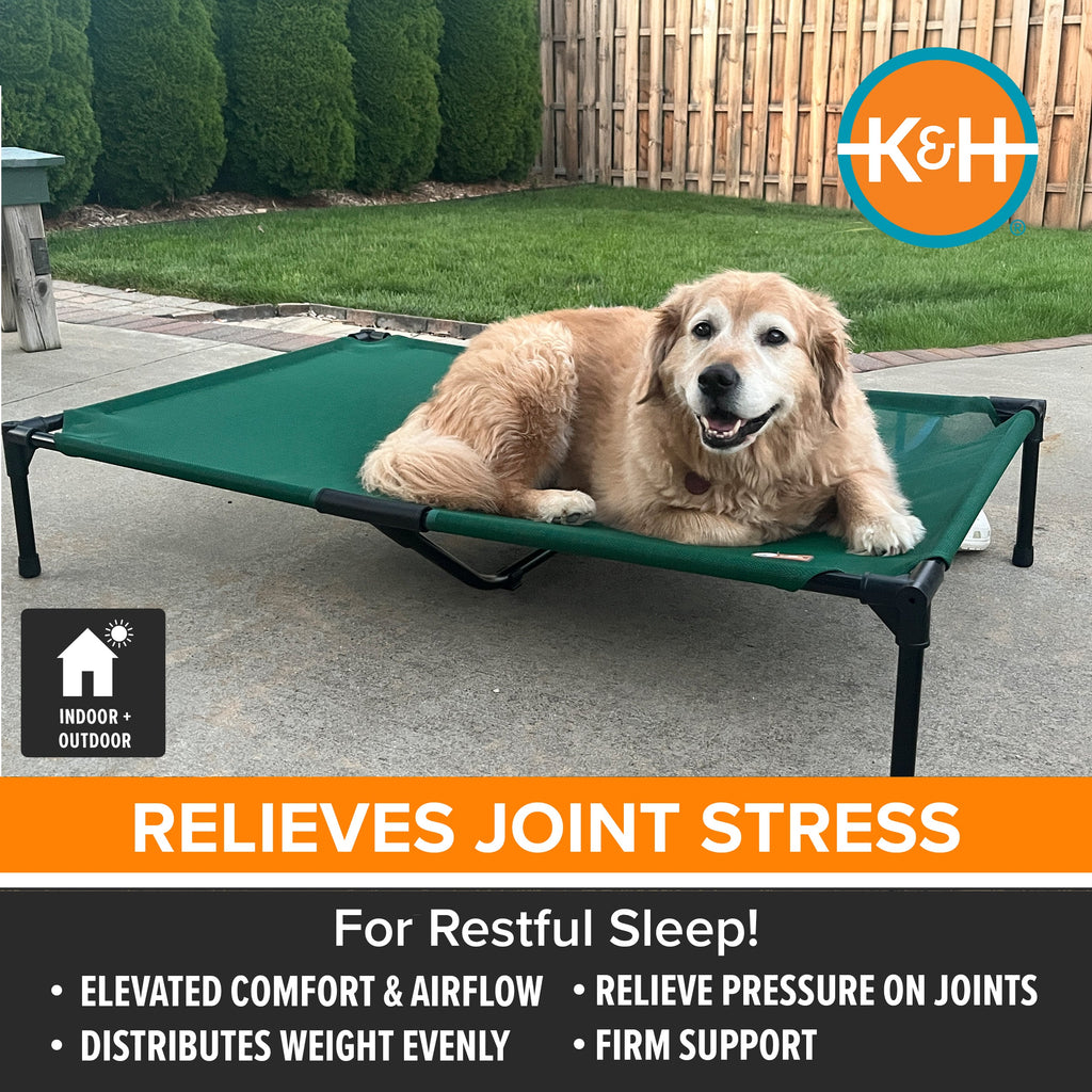 Raised Dog Cot product image 2