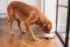 Ceramic Bowl product image 3